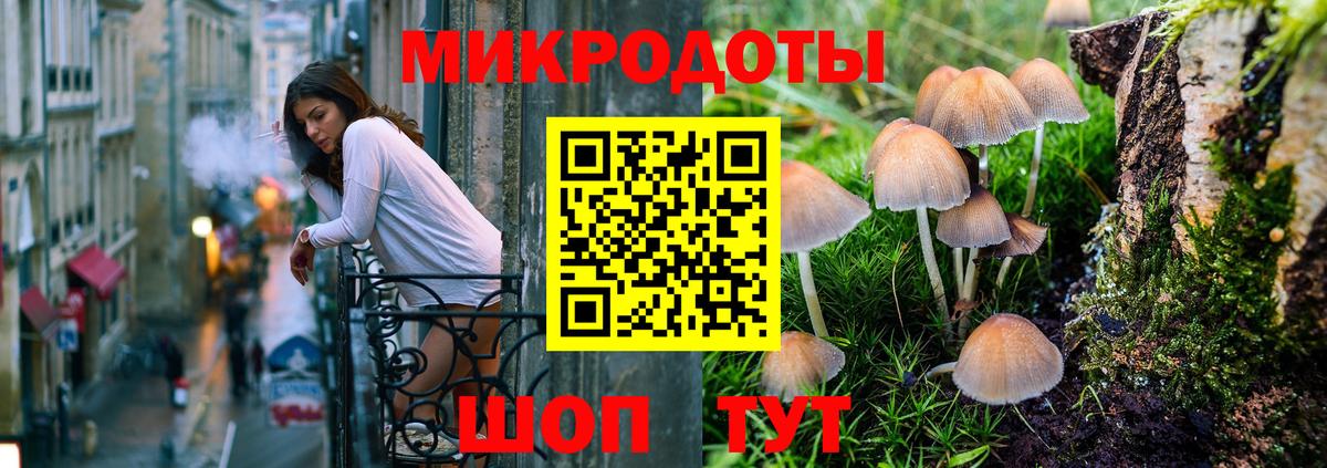 Псилоцибиновые грибы Psilocybine cubensis  Галлюциногенные грибы Magic Shrooms  Малгобек  Вход с VPN 